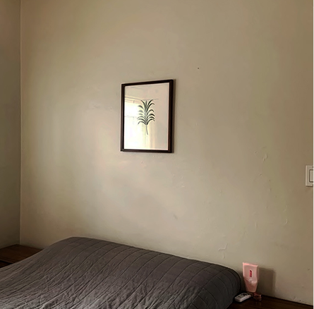 Dự án nhà phố Thủ Đức